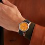 Image result for Hermann Goering Watch Collection