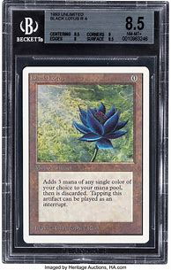 Image result for Magic The Gathering Black Lotus Artwork