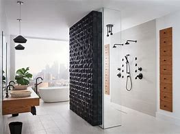 Image result for Spa Shower Head System
