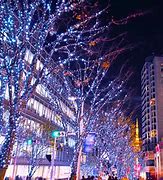 Image result for Tokyo Japan Winter