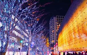 Image result for Tokyo Winter