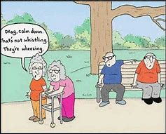 Image result for joke of the day for senior citizens