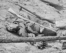 Image result for The Great War Dead Bodies