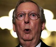 Image result for Mitch McConnell Chin