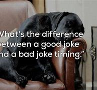 Image result for Funny Animal One-Liners