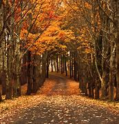 Image result for Fall Wallpaper for iPad