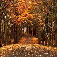 Image result for Fall Zone Wallpaper for Kindle