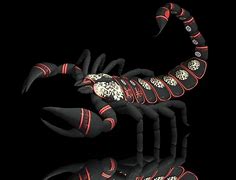 Image result for Red Scorpion HD Wallpaper