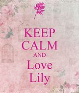 Image result for Keep Calm and Love Lily