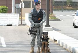 Image result for U.S. Army Military Police Uniform