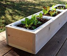 Image result for Long Narrow Planter Boxes