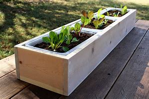 Image result for Easy Planter Boxes