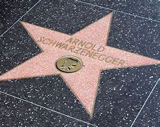 Image result for Arnold Schwarzenegger Woman