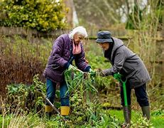 Image result for Garden Helpers for Seniors