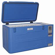 Image result for Portable Chest Refrigerator