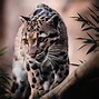 Image result for Clouded Leopard Attack