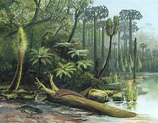 Image result for Carboniferous Rainforest