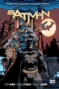 Image result for Batman Graphic Novel Art