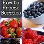 Image result for Best Way to Freeze Berries