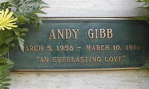 Image result for Andy Gibb Casket