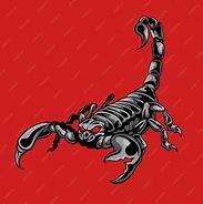 Image result for Scorpion Illustration