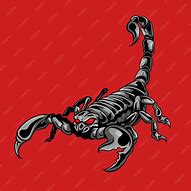 Image result for Scorpion Graphic