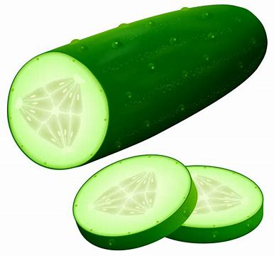 Image result for cucumber free clip art