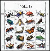Image result for Florida Insect Identification Chart