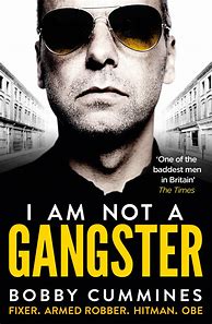 Image result for Gangster Books