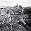 Image result for WW2 USSR Women Snipers