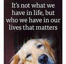 Image result for Animal Motivational Quotes