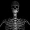 Image result for Human Skeleton X-ray