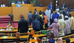 Image result for Senegal parliament brawl