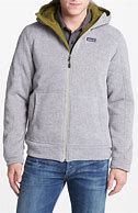 Image result for Gray Patagonia Hoodie