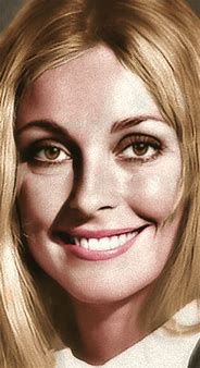 Image result for Sharon Tate Eyes