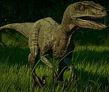 Image result for Jurassic World Velociraptor Charlie