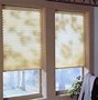 Image result for Window Shades Types