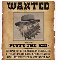 Image result for Wanted Poster KS2