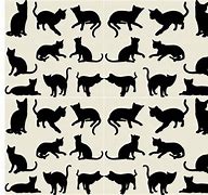 Image result for 100 Cats