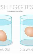 Image result for How to Tell If Eggs Are Still Good