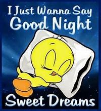 Image result for Funny Good Night Quotes