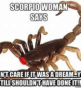 Image result for Funny Scorpion Memes