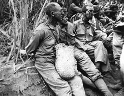 Image result for POWs Beaten