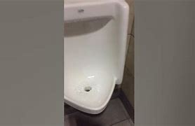 Image result for How to Unclog Urinal