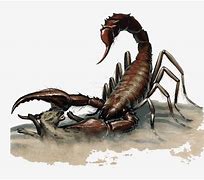 Image result for 5E Giant Scorpion