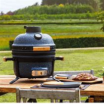 Image result for Barbecue Oven