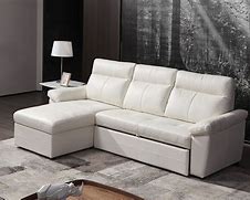 Image result for Sectional Sofa with Pull Out Bed