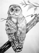 Image result for Paul Calle Pencil Drawings