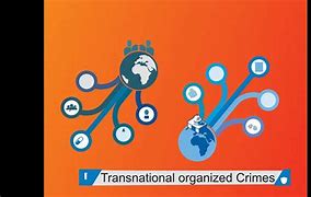 Image result for Organized Crime Link Chart