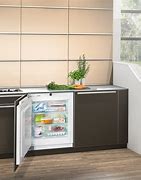 Image result for Undercounter Built in Freezers